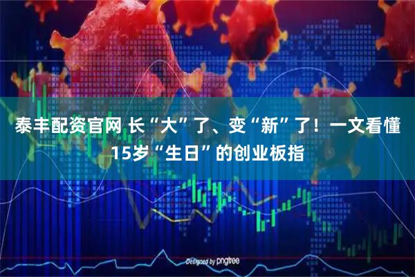 泰丰配资官网 长“大”了、变“新”了！一文看懂15岁“生日”的创业板指