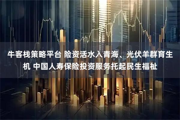 牛客栈策略平台 险资活水入青海、光伏羊群育生机 中国人寿保险投资服务托起民生福祉