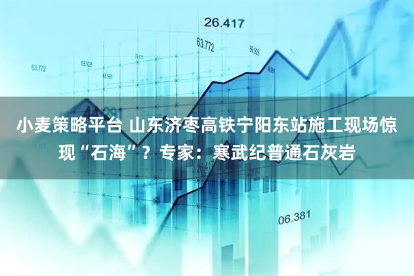 小麦策略平台 山东济枣高铁宁阳东站施工现场惊现“石海”？专家：寒武纪普通石灰岩